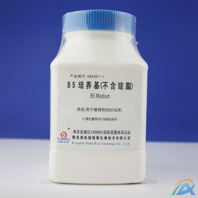 b5培养基(不含琼脂)